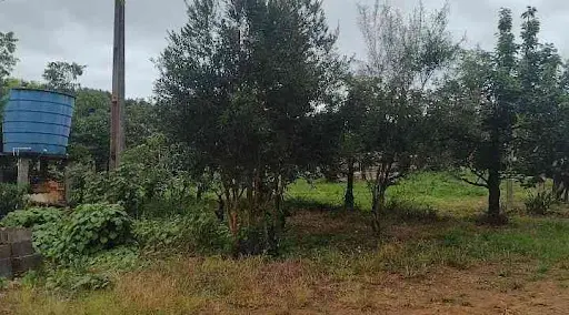 Sítio com 2 dormitórios à venda, 80339 m² por R$ 850.000,00 - Liberata  - Fraiburgo/SC — foto 3