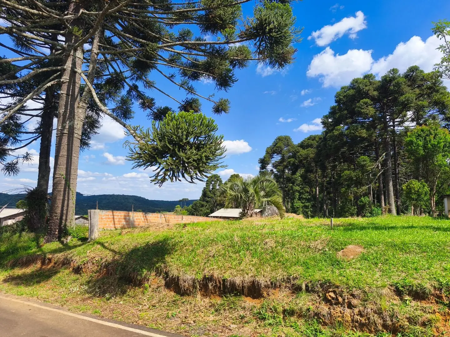 Terreno à venda, 553 m² por R$ 80.000,00 - Taquara Verde - Caçador/SC — foto 1