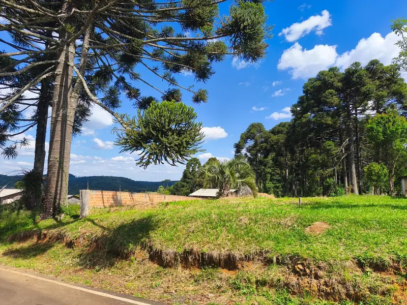 Terreno em Taquara Verde