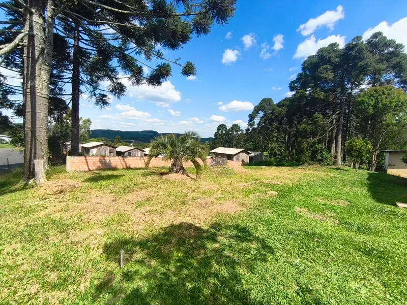 Terreno à venda, 553 m² por R$ 80.000,00 - Taquara Verde - Caçador/SC — foto 2