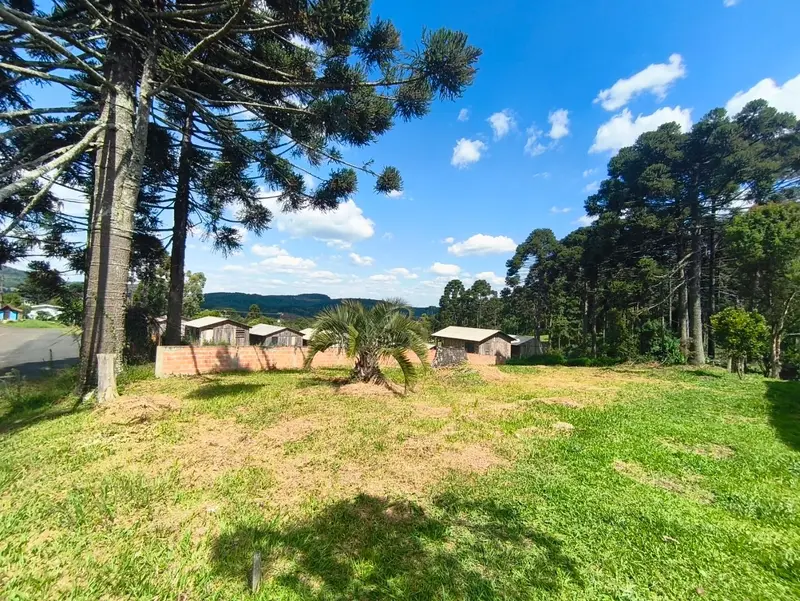 Terreno à venda, 553 m² por R$ 80.000,00 - Taquara Verde - Caçador/SC — foto 3