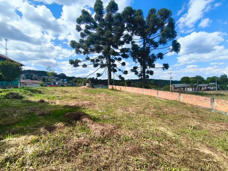 Terreno à venda, 553 m² por R$ 80.000,00 - Taquara Verde - Caçador/SC — foto 4