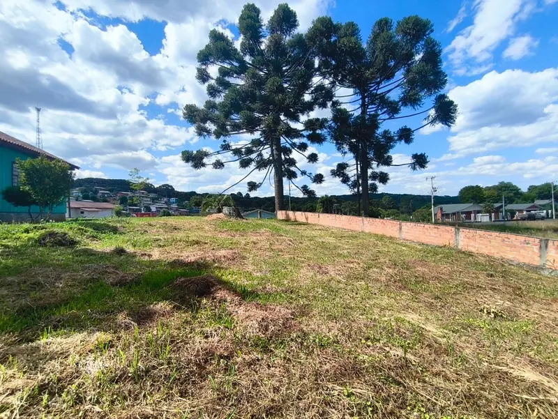 Terreno à venda, 553 m² por R$ 80.000,00 - Taquara Verde - Caçador/SC — foto 5