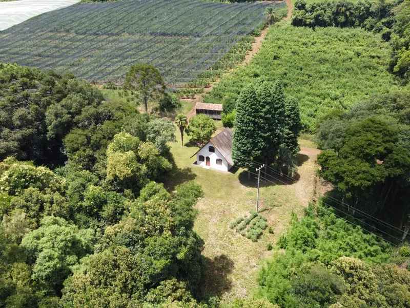 Sítio à venda no interior de Fraiburgo, próximo ao Oásis. — foto 3