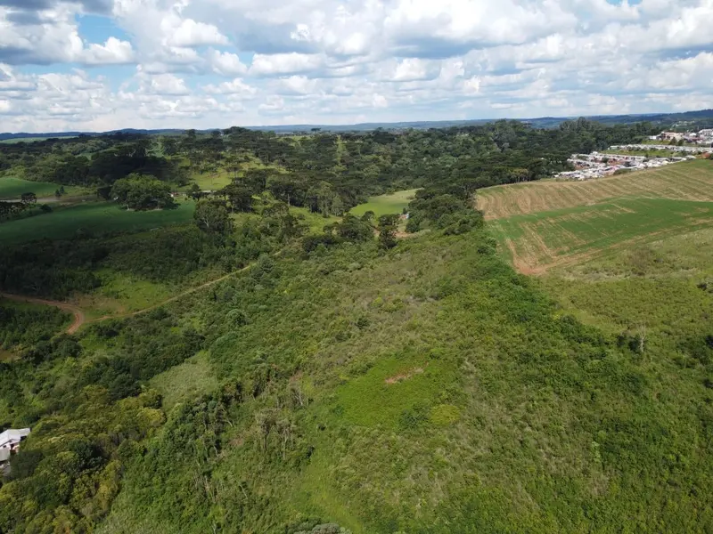 Área à venda, 54670 m² por R$ 1.050.000,00 - Nossa Senhora Salete - Caçador/SC — foto 2