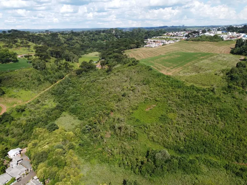Área à venda, 54670 m² por R$ 1.050.000,00 - Nossa Senhora Salete - Caçador/SC — foto 3