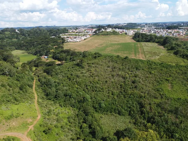 Área à venda, 54670 m² por R$ 1.050.000,00 - Nossa Senhora Salete - Caçador/SC — foto 4