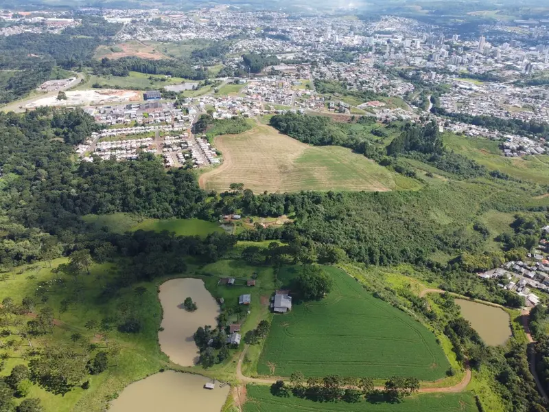 Área à venda, 54670 m² por R$ 1.050.000,00 - Nossa Senhora Salete - Caçador/SC — foto 5