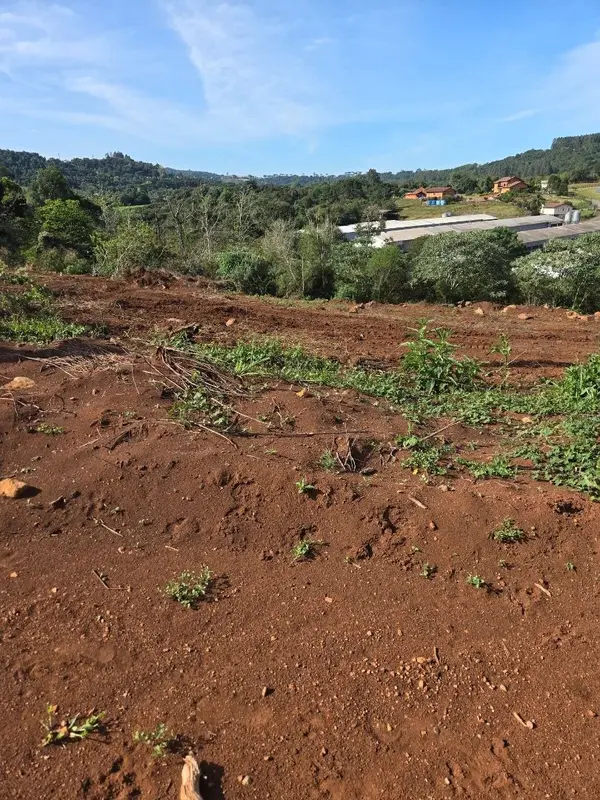 Terreno à venda, 328 m² por R$ 160.000,00 - Santa Lucia - Videira/SC — foto 2