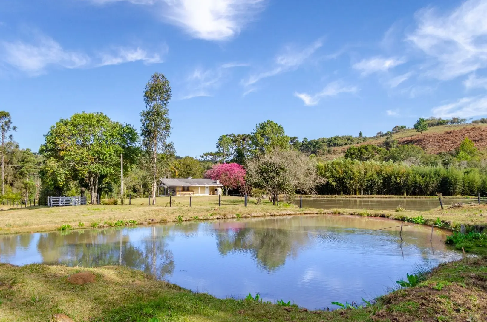 Sítio à venda, 15 alqueires, por R$ 2.200.000 - Aeroporto - Caçador/SC — foto 1