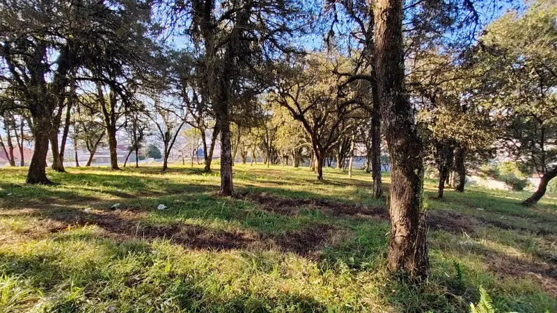 Terreno à venda, 9144 m² por R$ 4.800.000,00 - Berger - Caçador/SC — foto 5